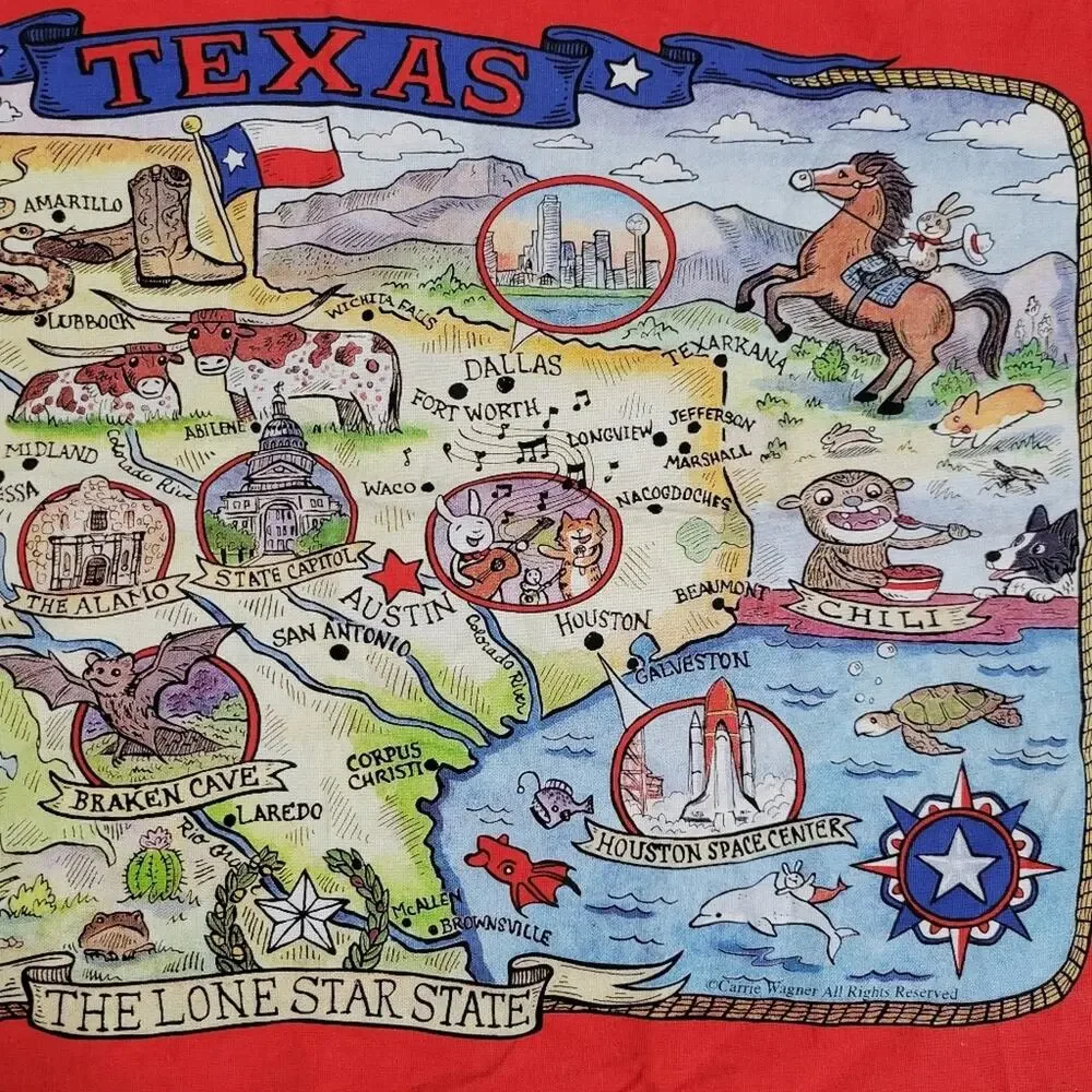 Texas Tapestry Wall Decor Tea Towel, 18.5x28